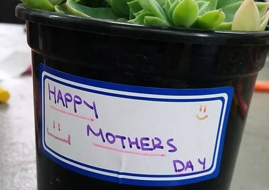 Melbourne- Mothers day Celebration (1)
